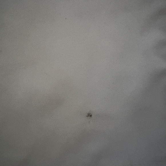 Dickies Men's White Flat Front Shorts - Picture 6 of 6